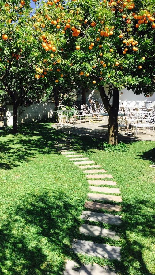 Palazzo Cacace Relais Hotel เมตา ภายนอก รูปภาพ